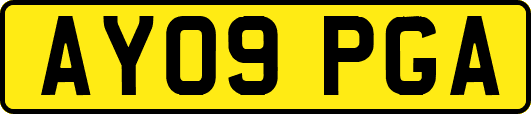 AY09PGA