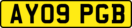 AY09PGB