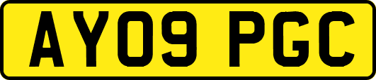 AY09PGC