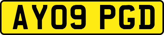 AY09PGD
