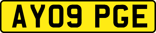 AY09PGE