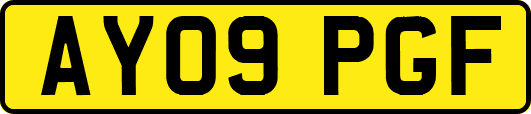 AY09PGF
