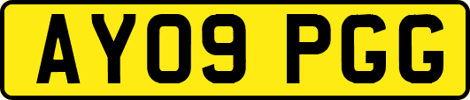 AY09PGG