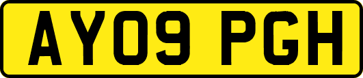 AY09PGH