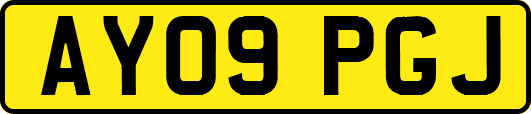 AY09PGJ