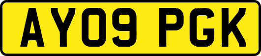 AY09PGK