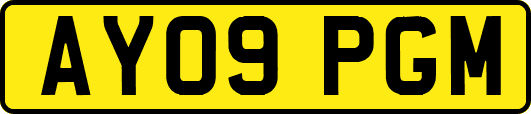 AY09PGM