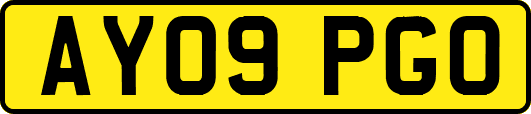 AY09PGO