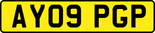 AY09PGP