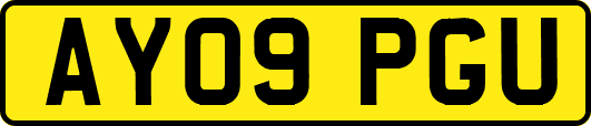 AY09PGU