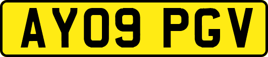 AY09PGV