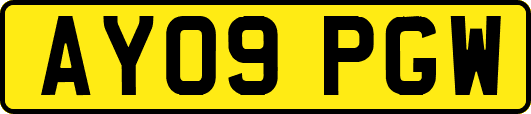 AY09PGW