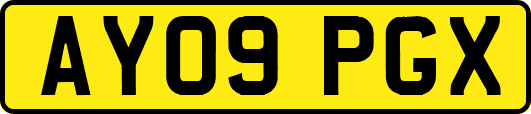 AY09PGX
