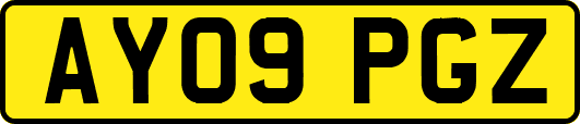 AY09PGZ