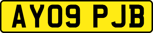 AY09PJB