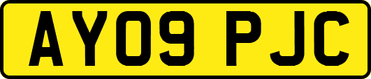 AY09PJC