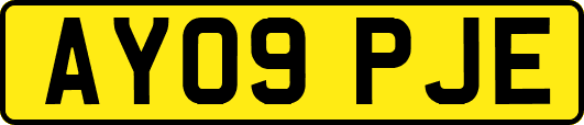 AY09PJE