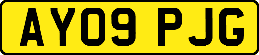 AY09PJG