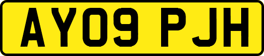 AY09PJH