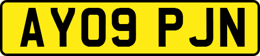 AY09PJN