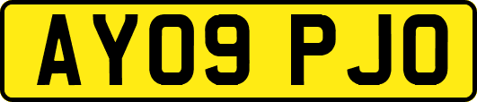AY09PJO