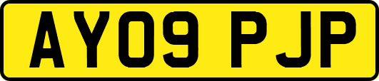AY09PJP