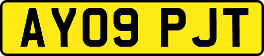 AY09PJT