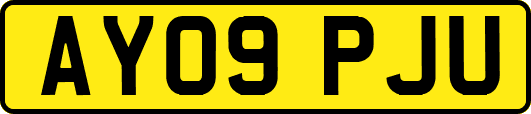 AY09PJU