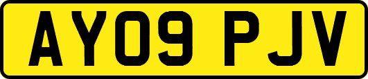 AY09PJV