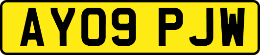 AY09PJW