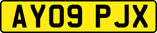 AY09PJX