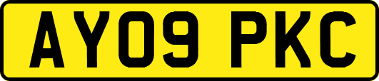 AY09PKC