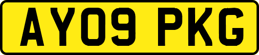 AY09PKG