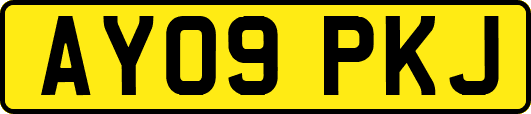 AY09PKJ