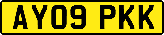 AY09PKK