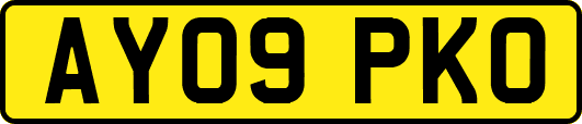 AY09PKO