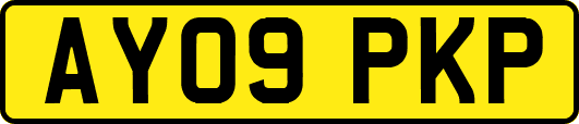 AY09PKP