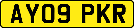 AY09PKR