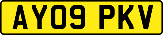 AY09PKV
