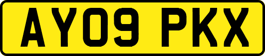 AY09PKX