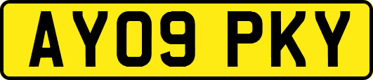 AY09PKY