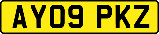 AY09PKZ