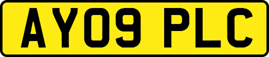 AY09PLC