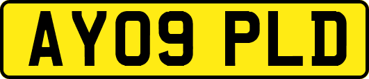 AY09PLD