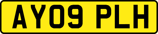AY09PLH