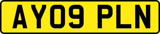 AY09PLN