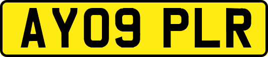 AY09PLR
