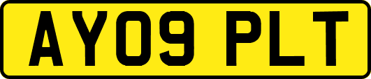AY09PLT