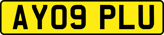 AY09PLU