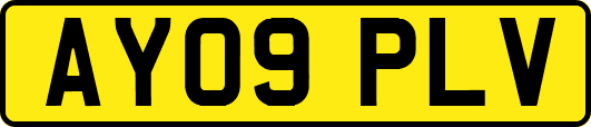 AY09PLV
